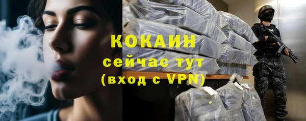 бошки Каменка