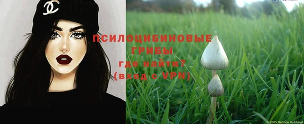 дурь Каменногорск