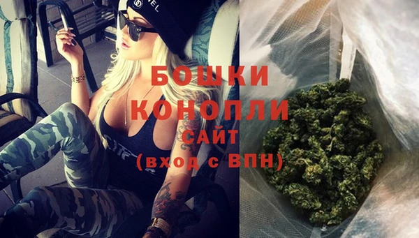 бошки Каменка