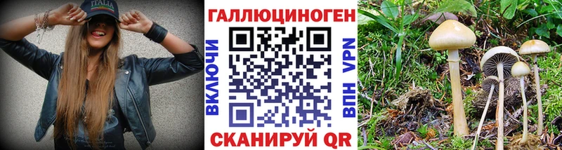 ссылка на мегу ссылка  Лобня  Псилоцибиновые грибы Psilocybe  сколько стоит 